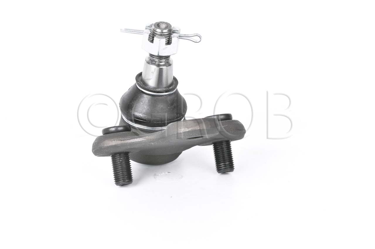 Rotula Inf. Rav 4 96-00