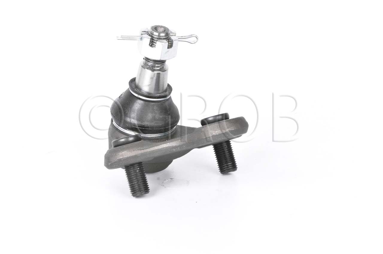 Rotula Inf. Rav 4 96-00