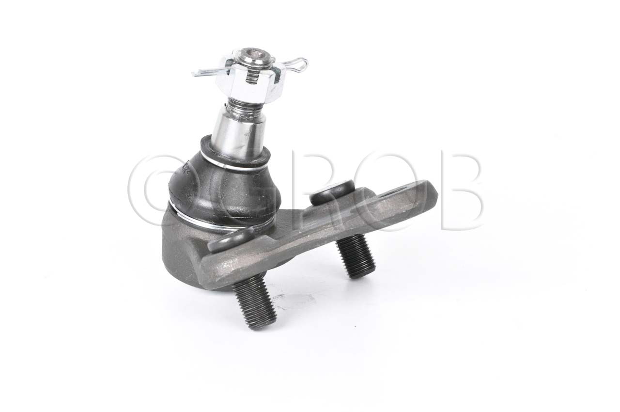 Rotula Inf. Rav 4 96-00