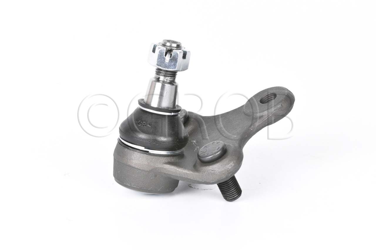 Rotula Inf. Rav 4 96-00