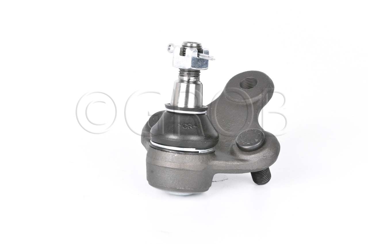 Rotula Inf. Rav 4 96-00