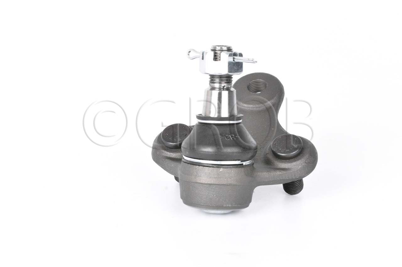 Rotula Inf. Rav 4 96-00