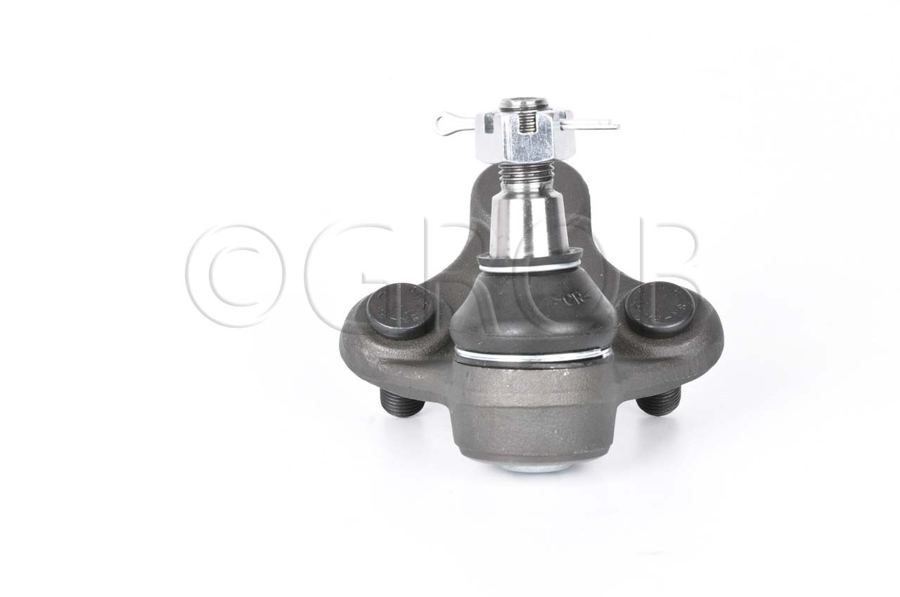 Rotula Inf. Rav 4 96-00