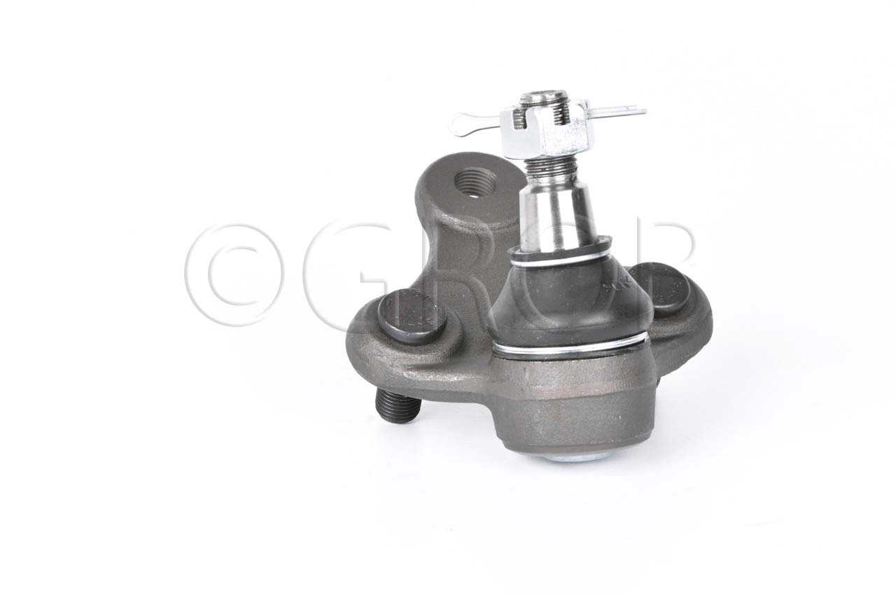 Rotula Inf. Rav 4 96-00