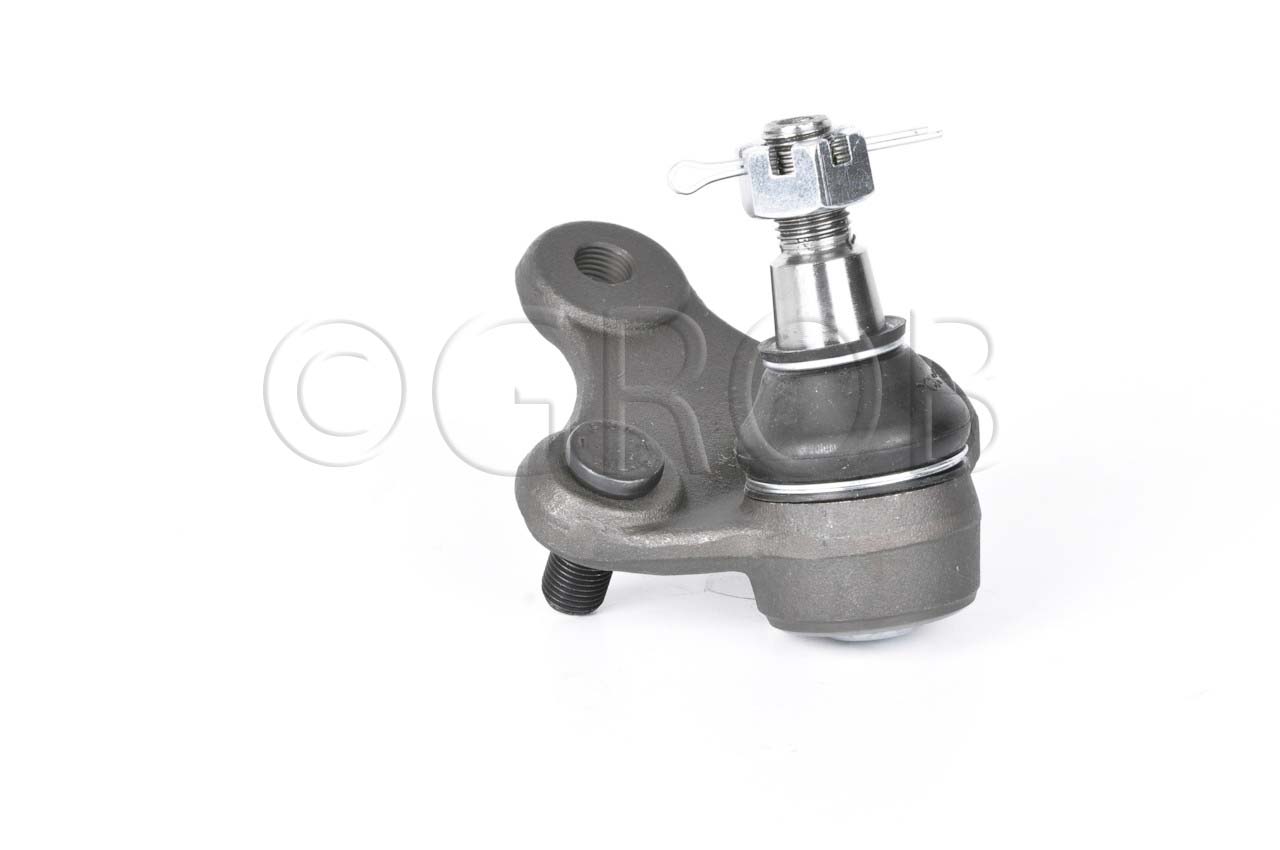 Rotula Inf. Rav 4 96-00