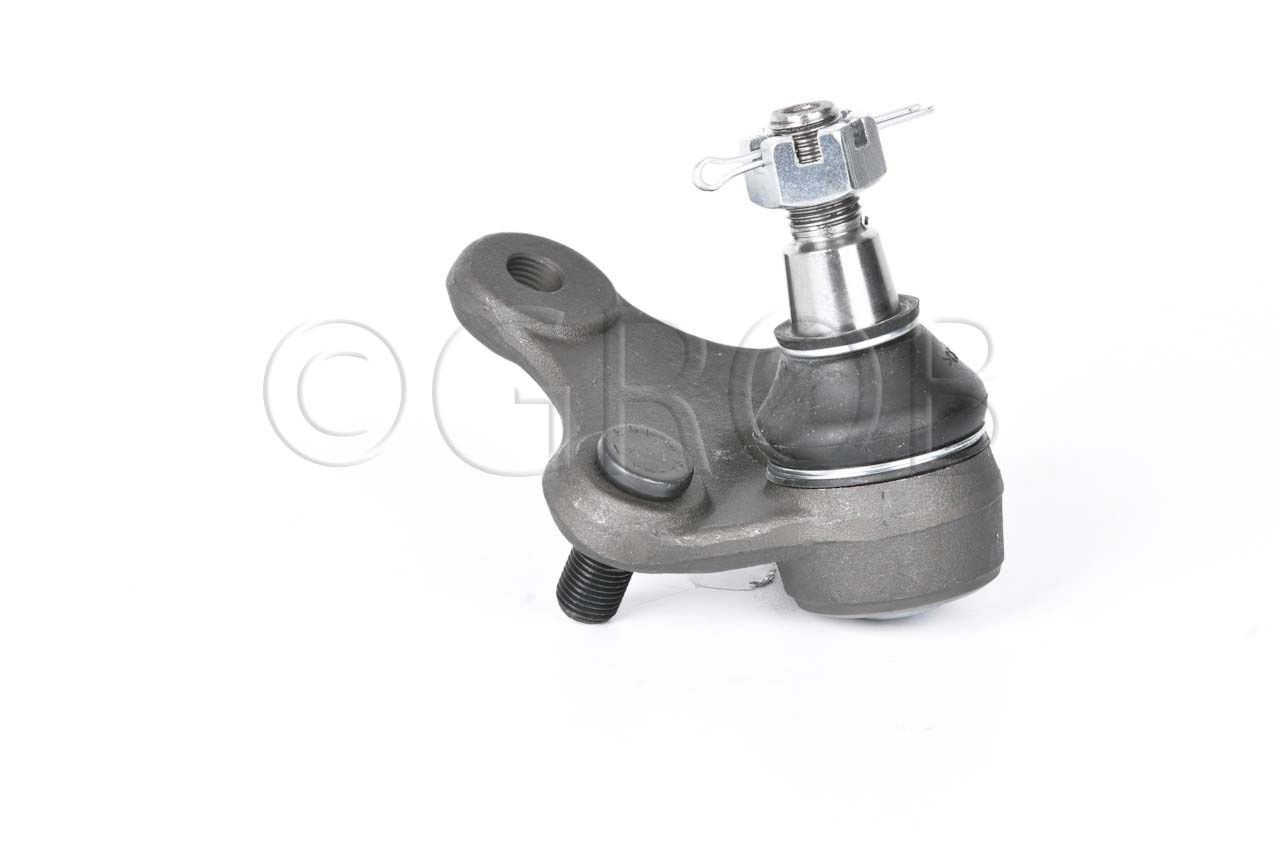 Rotula Inf. Rav 4 96-00