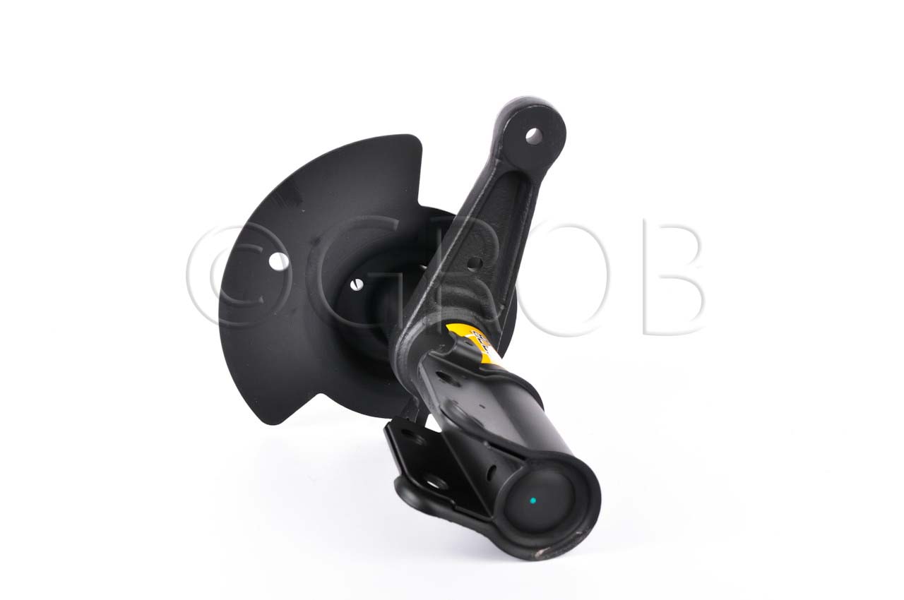 Amortiguador Del. Der. 300M 99-04 Intrepid 93-04 LHS 93-04 New Yorker 93-97 New Yorker LHS 98-02 Concorde 93-04