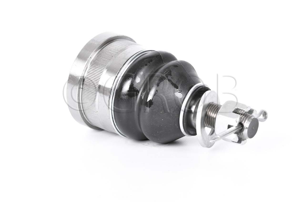 Rotula Inf. C-30 71-78 C-35 79-91 Van G-30 72-95