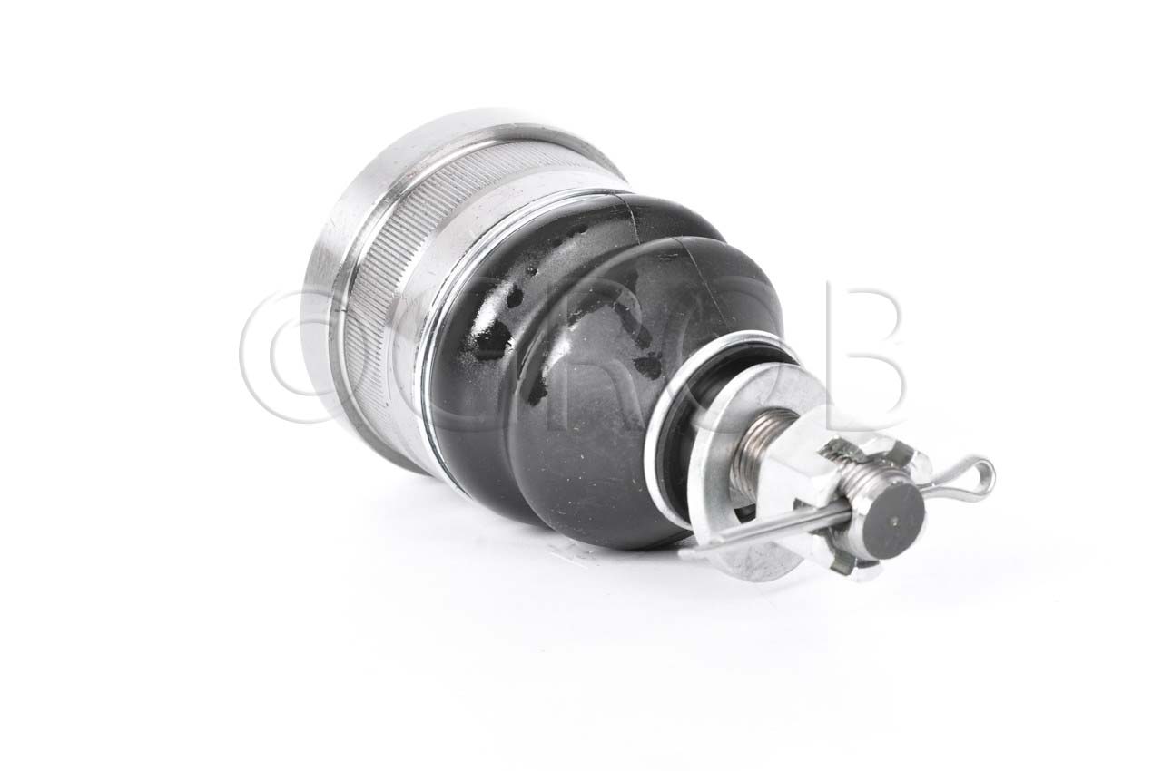 Rotula Inf. C-30 71-78 C-35 79-91 Van G-30 72-95