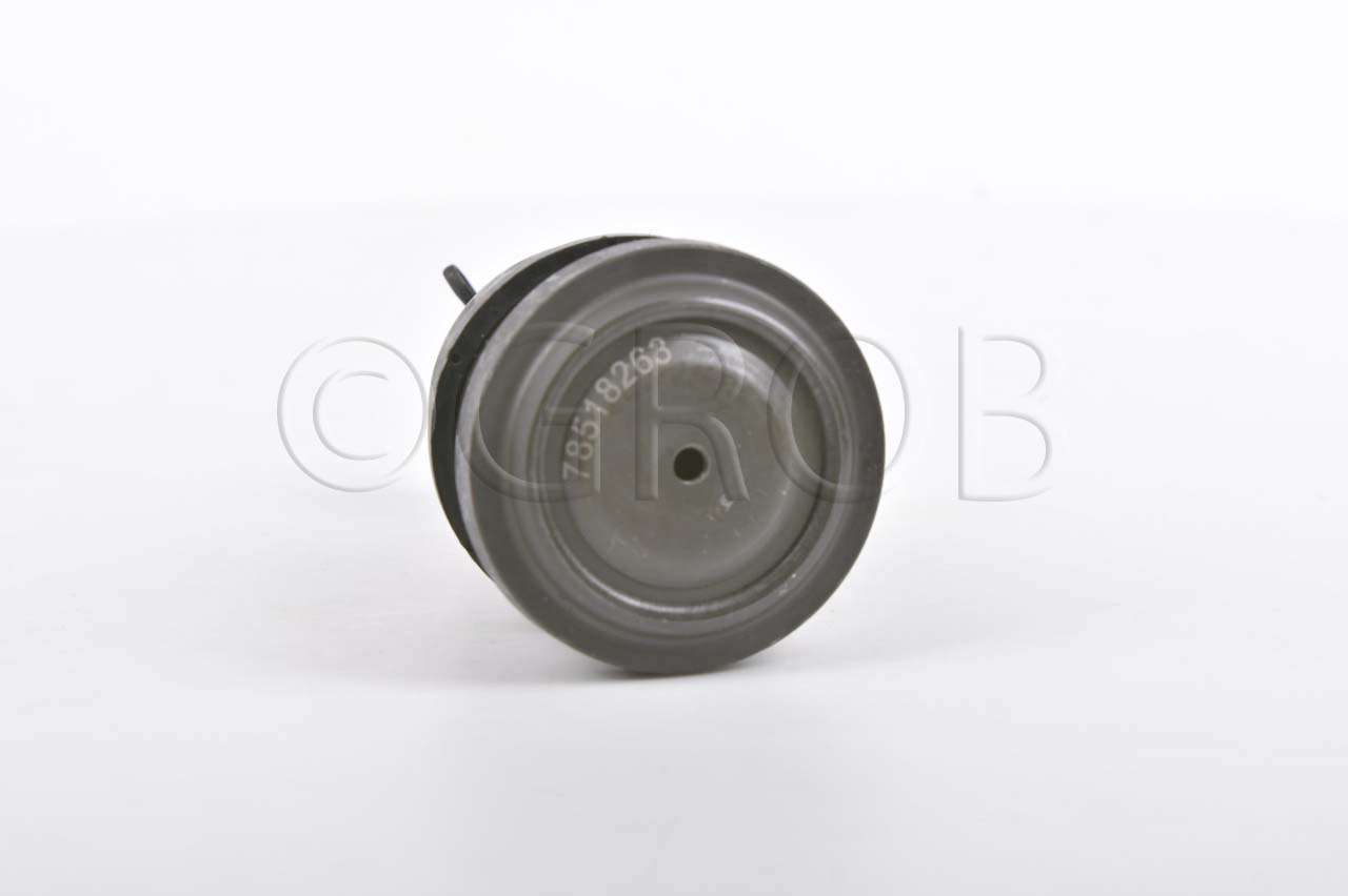 Rotula Inf. C-30 71-78 C-35 79-91 Van G-30 72-95