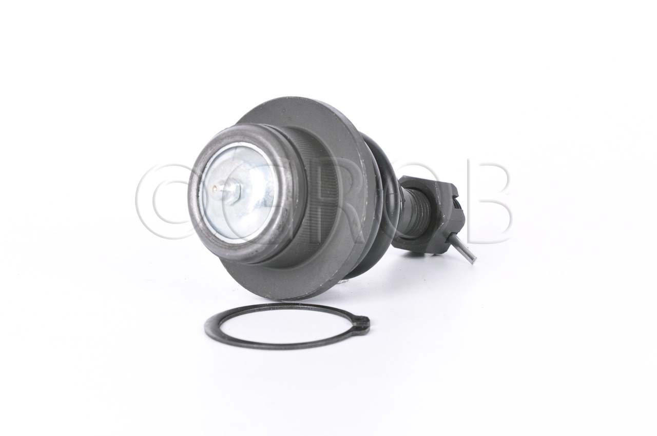 Rotula Inf. Dakota 05-12 MMC Raider 05-11 F-150 USA 97-03 Raider 06-09