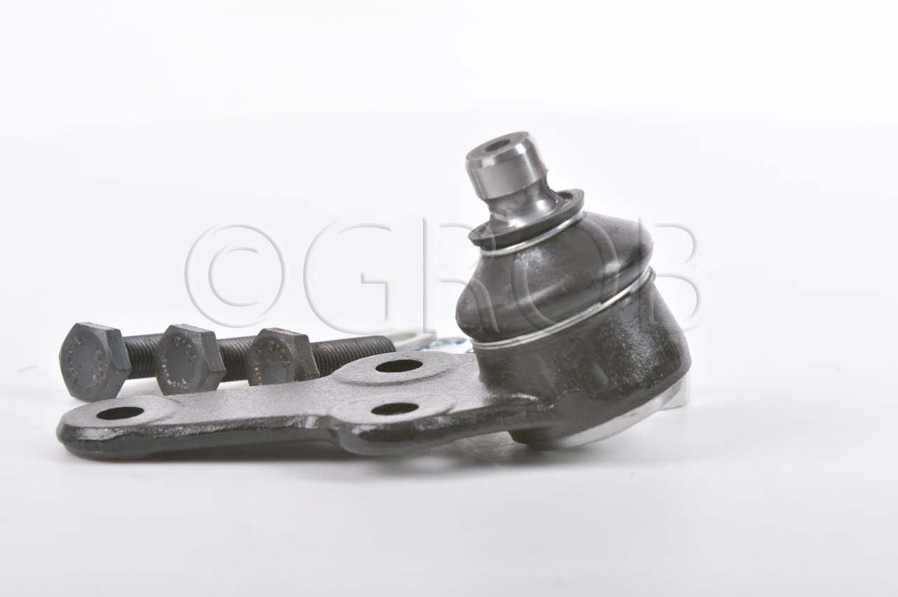 Rotula Inf. Focus 99-06