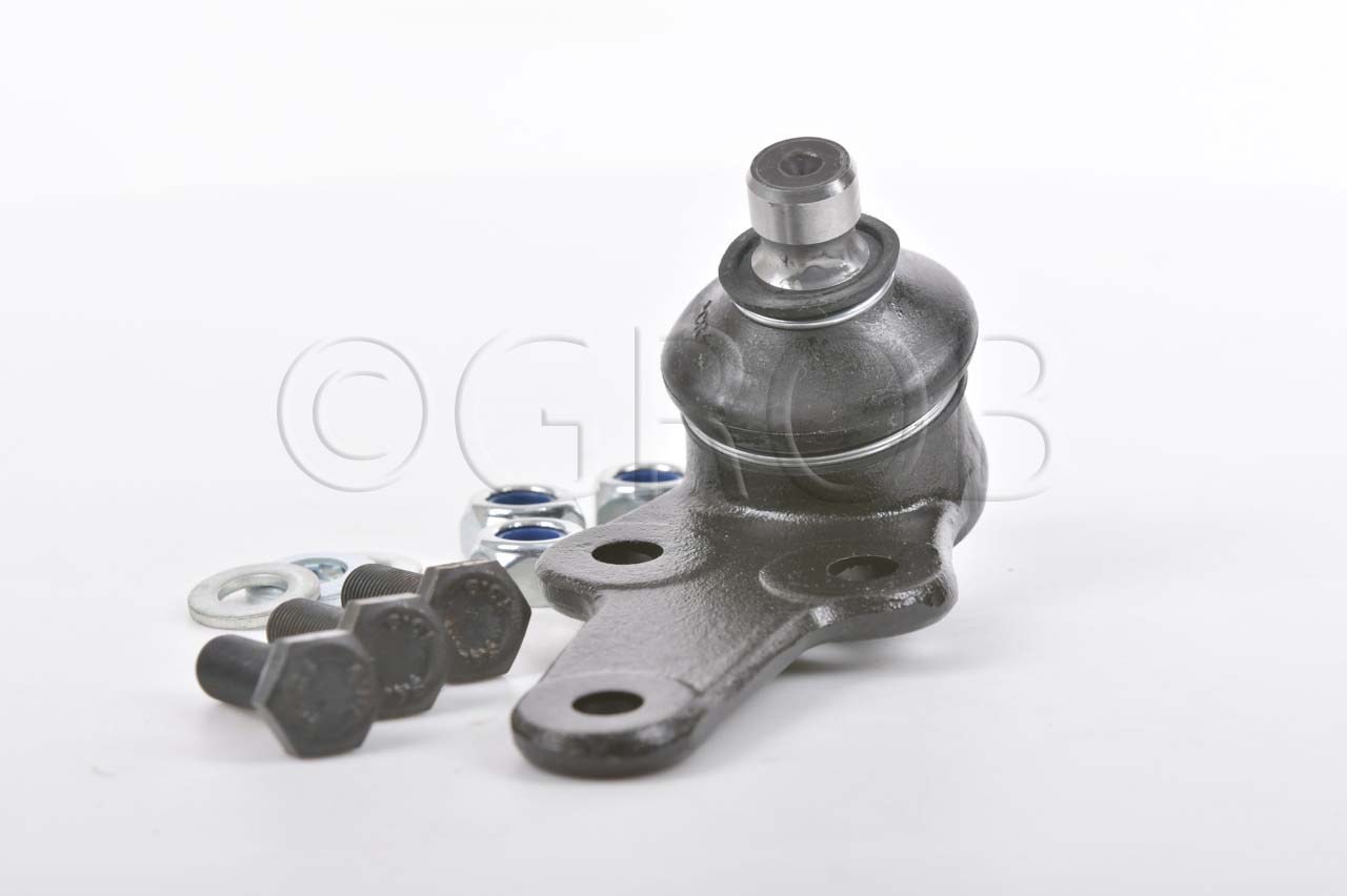 Rotula Inf. Focus 99-06