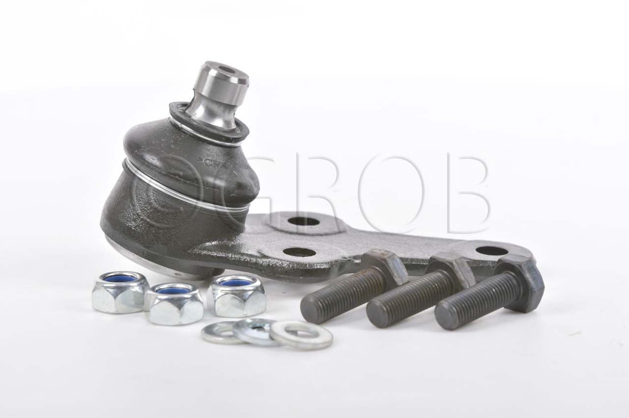 Rotula Inf. Focus 99-06