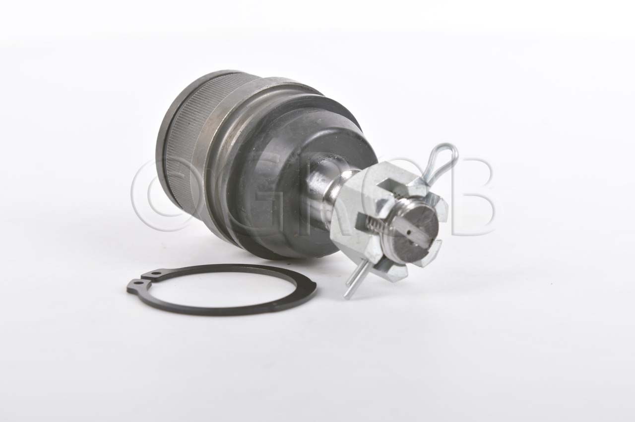 Rotula Inf. F-150 87-96