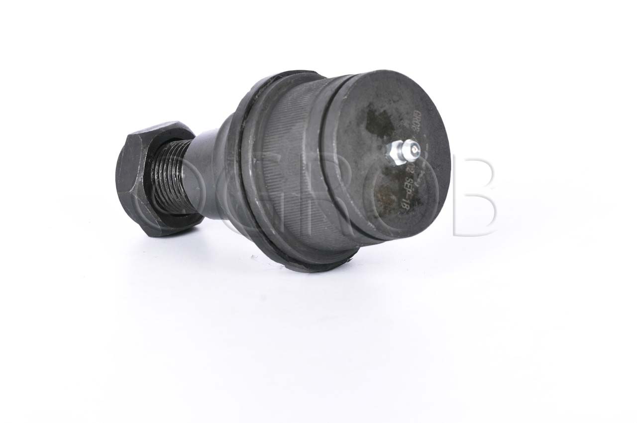 Rotula Inf. F-450 99-06 F-450 4X4 99-06 F-550 99-06 F-550 4X4 99-06 Ram-2500 4X4 Eje Solido 94-99 8 Birlos 94-99 Ram-3500 4X2 Eje Solido 94-02 94-99 Ram-3500 4X4 Eje Solido 94-99 Ram-4000 94-99 Excursion 4X4 99-06 F-250 4X4 99-06 F-250 Super Duty 99-06 F-