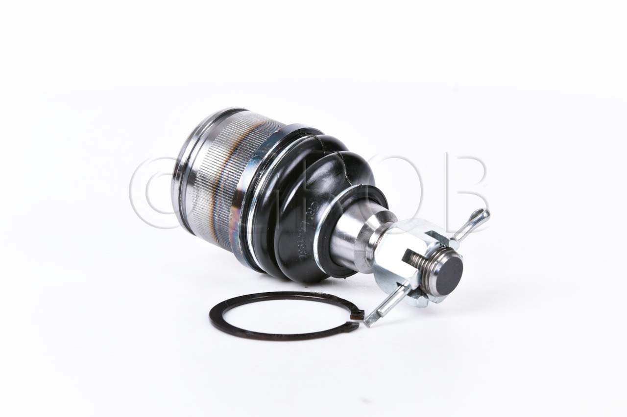 Rotula Inf. E-550 92-06 E-250 92-06 E-350 92-06 E-450 92-06