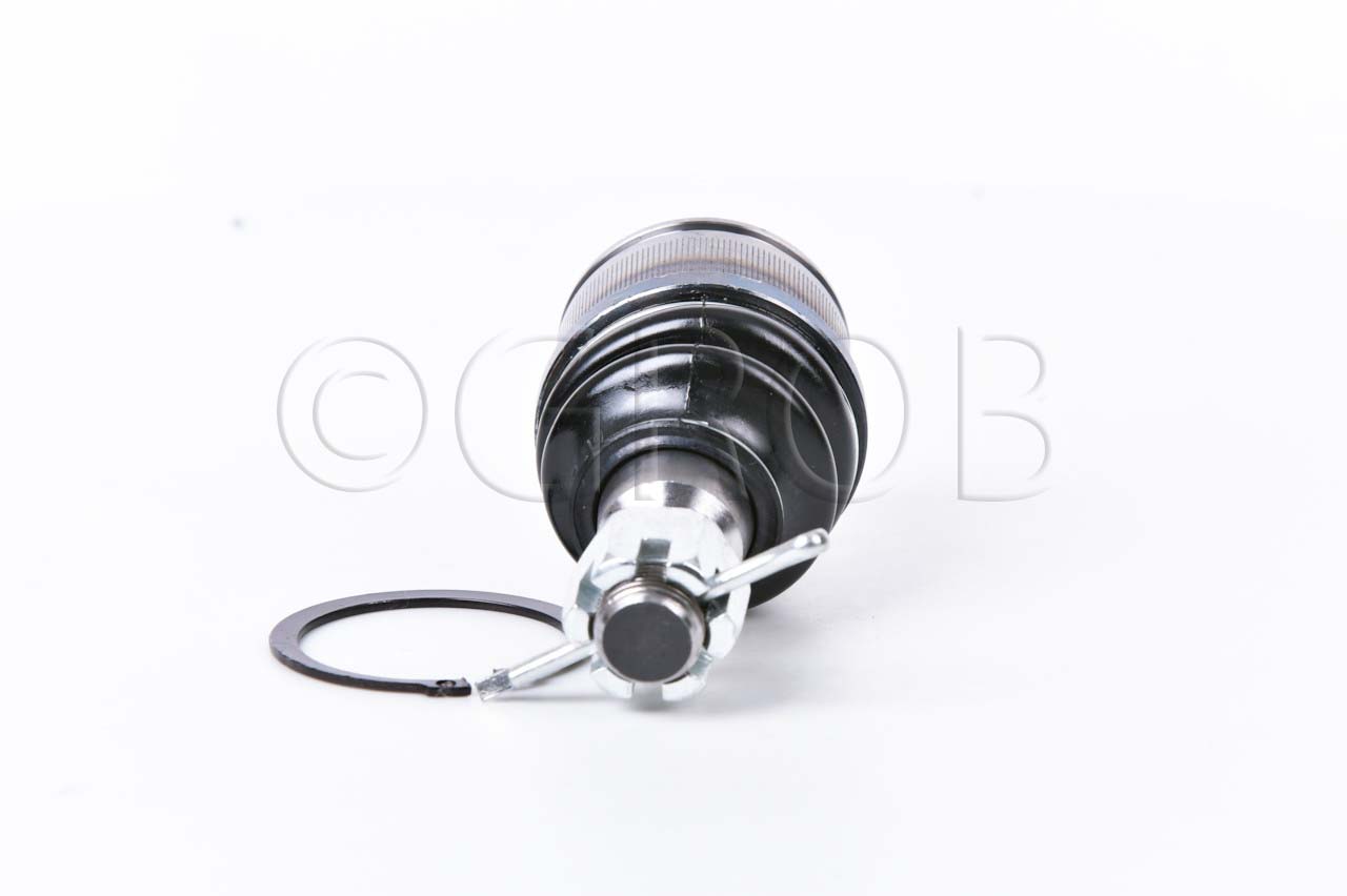 Rotula Inf. E-550 92-06 E-250 92-06 E-350 92-06 E-450 92-06