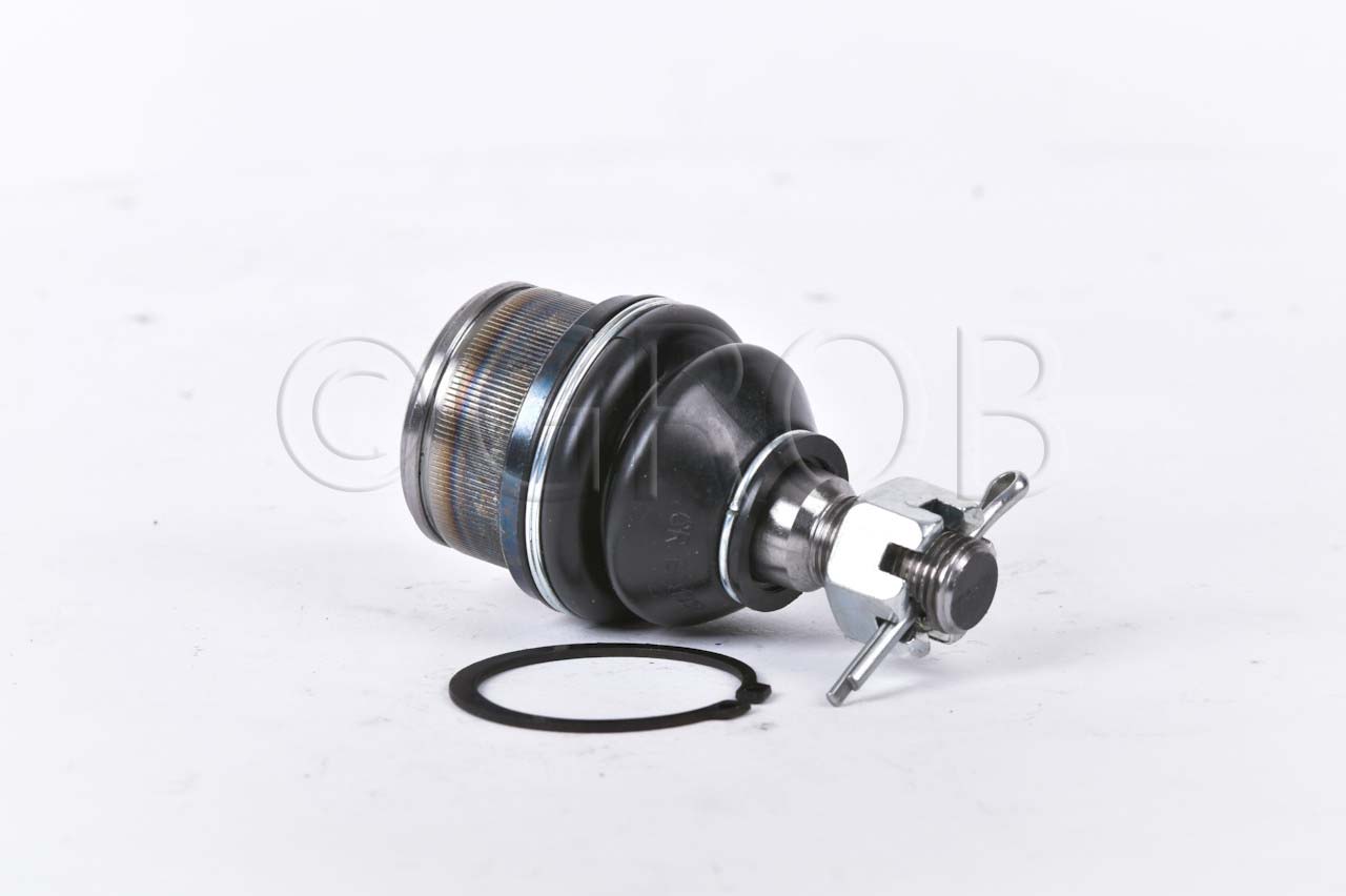 Rotula Inf. E-150 92-12