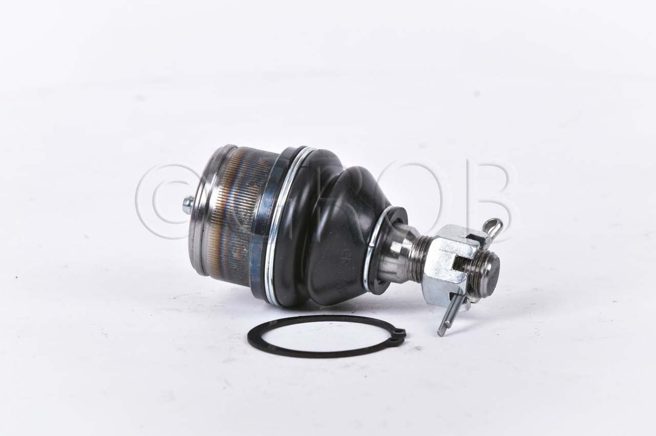 Rotula Inf. E-150 92-12