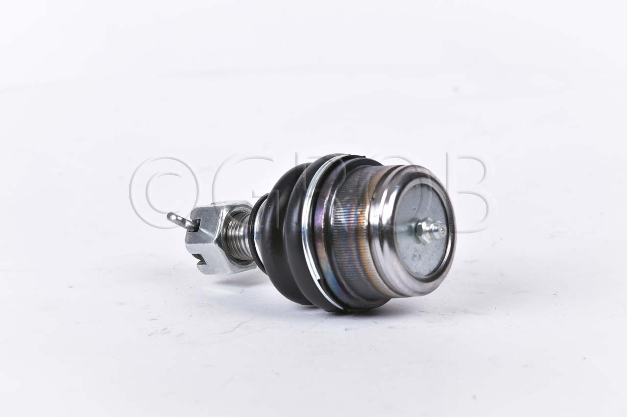 Rotula Inf. E-150 92-12