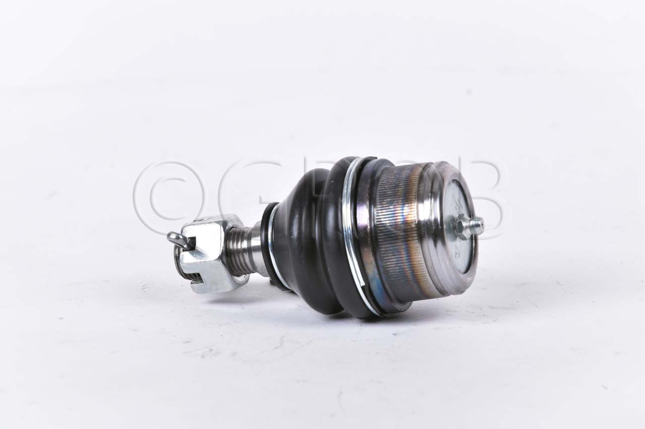 Rotula Inf. E-150 92-12