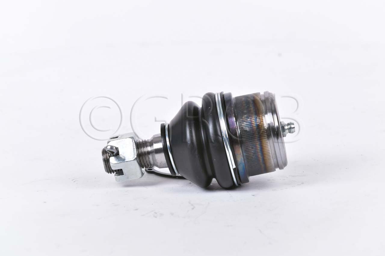 Rotula Inf. E-150 92-12