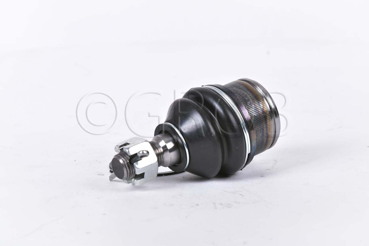 Rotula Inf. E-150 92-12