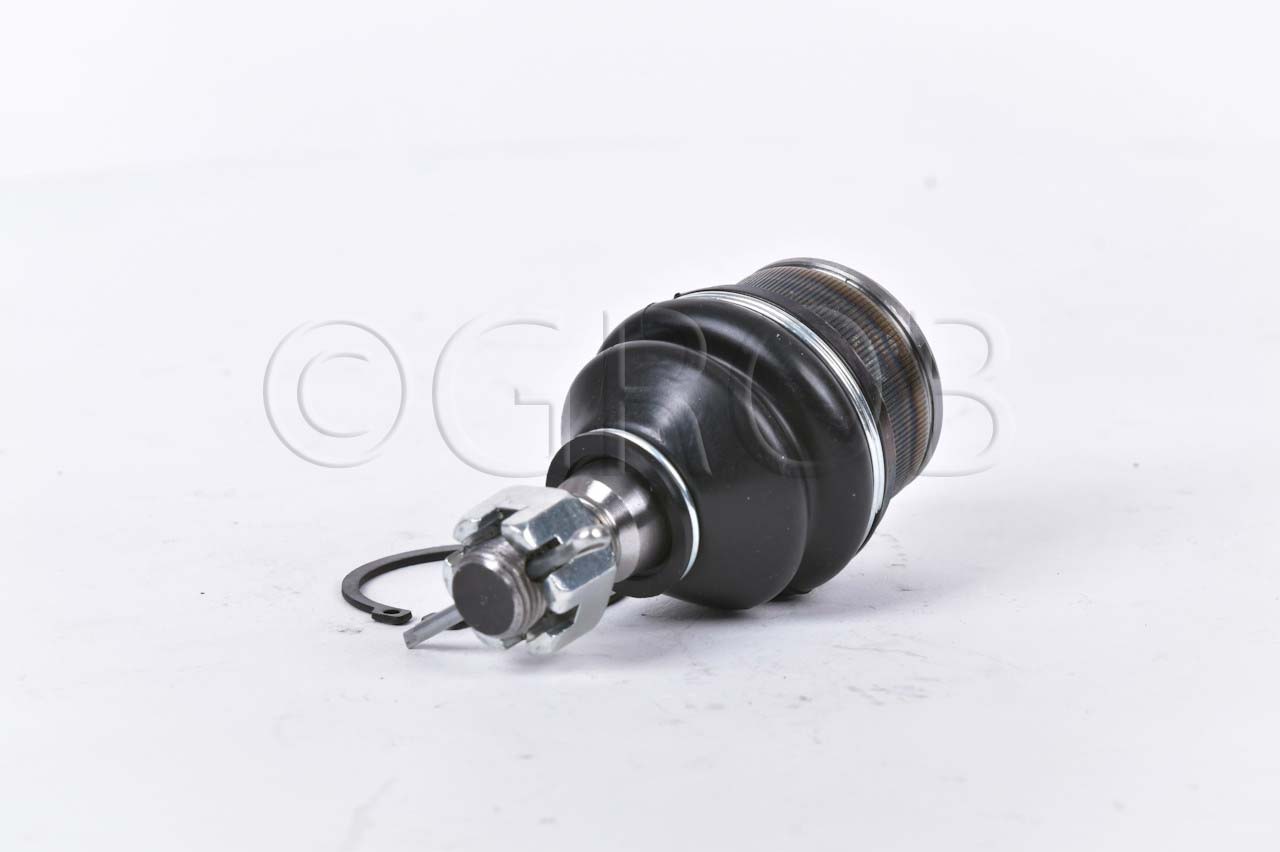 Rotula Inf. E-150 92-12