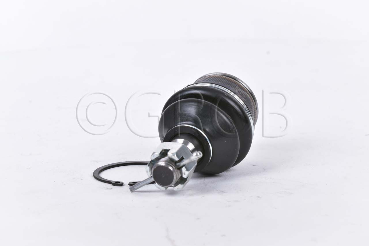 Rotula Inf. E-150 92-12