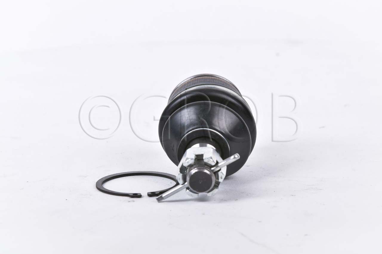 Rotula Inf. E-150 92-12