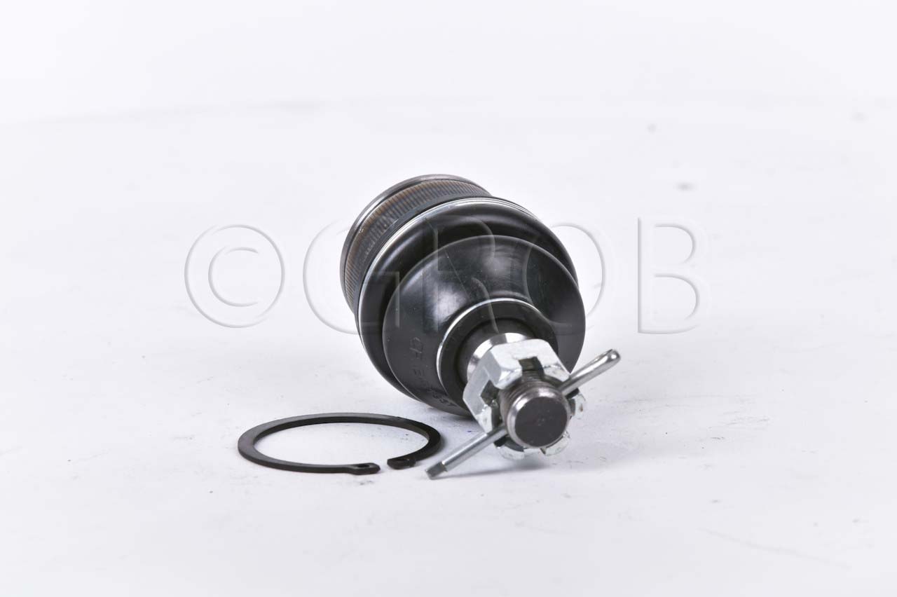 Rotula Inf. E-150 92-12