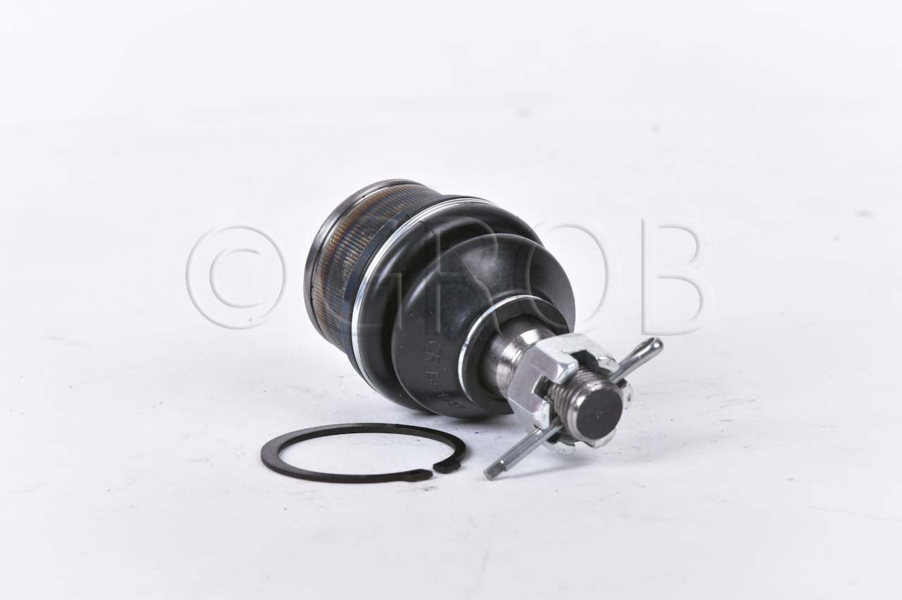 Rotula Inf. E-150 92-12