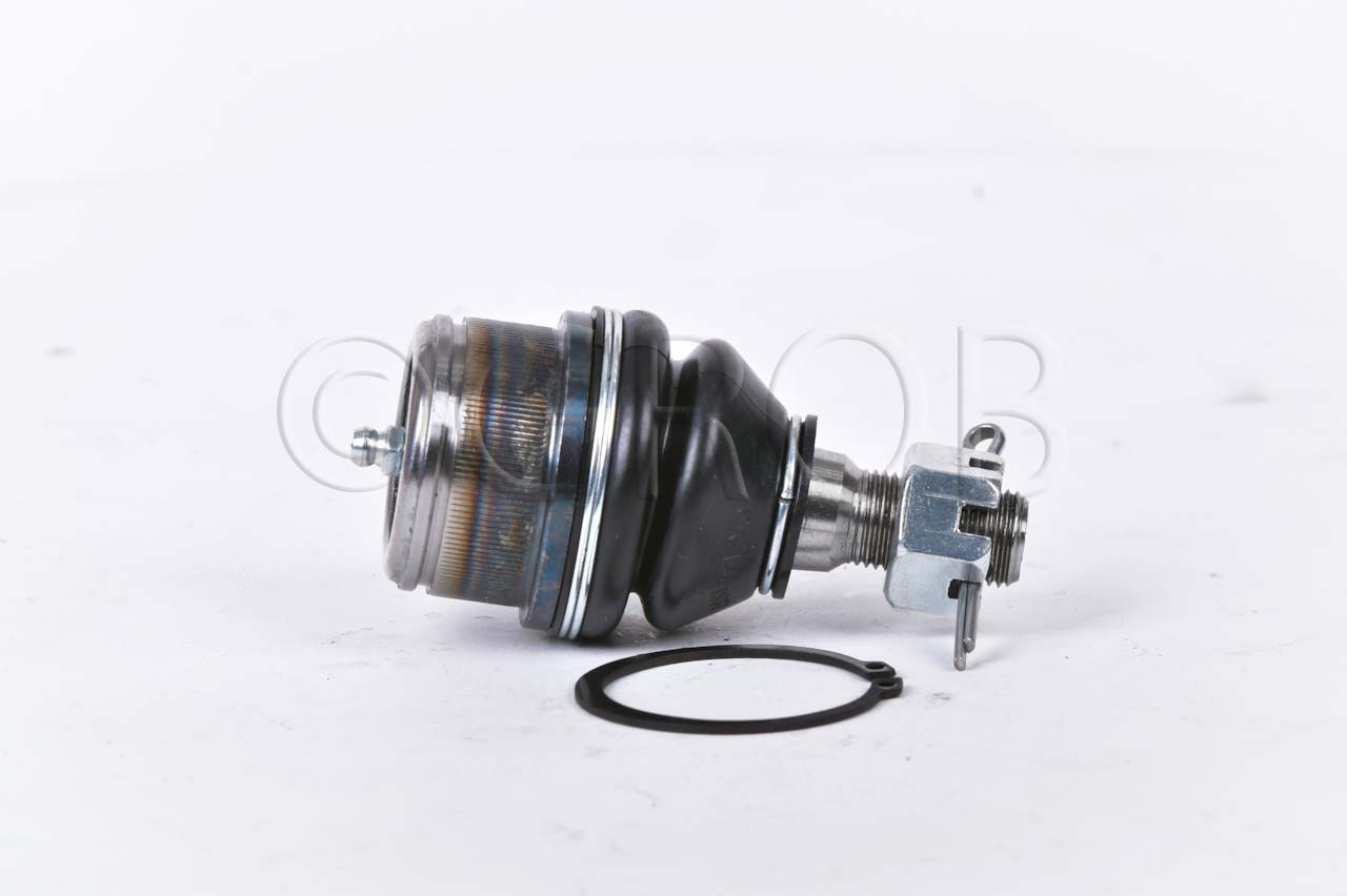 Rotula Inf. E-150 92-12