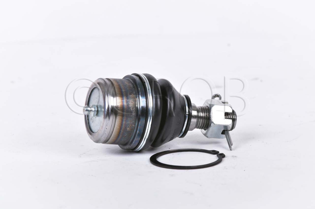 Rotula Inf. E-150 92-12