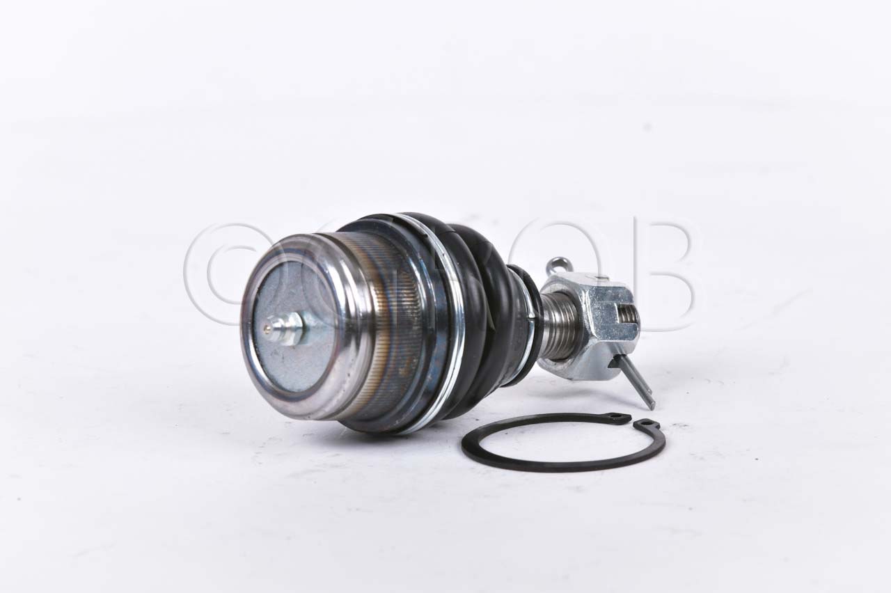 Rotula Inf. E-150 92-12