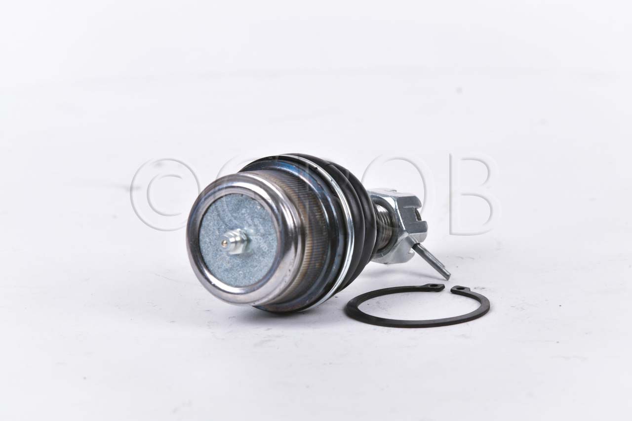 Rotula Inf. E-150 92-12