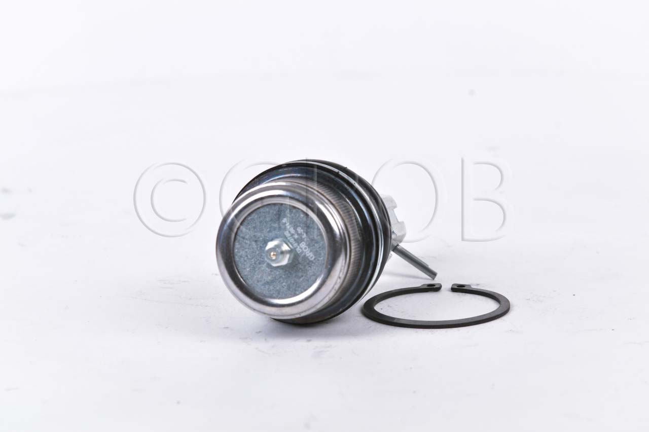 Rotula Inf. E-150 92-12