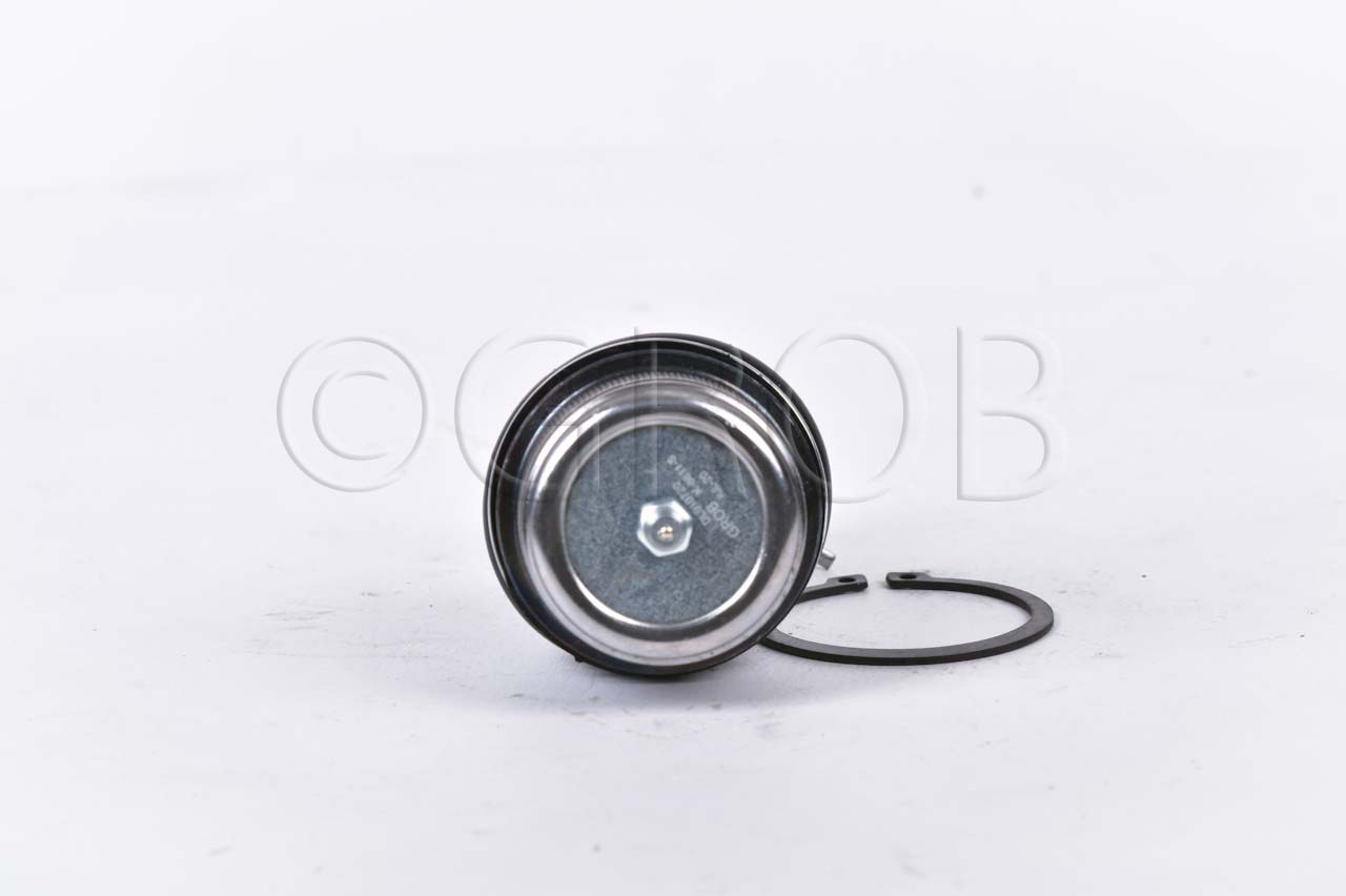 Rotula Inf. E-150 92-12