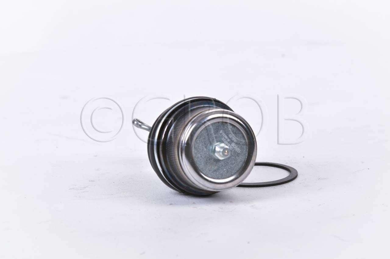 Rotula Inf. E-150 92-12