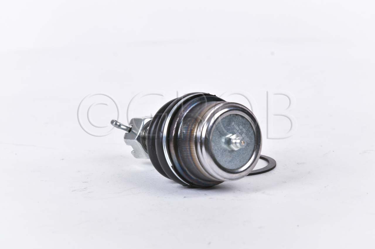 Rotula Inf. E-150 92-12