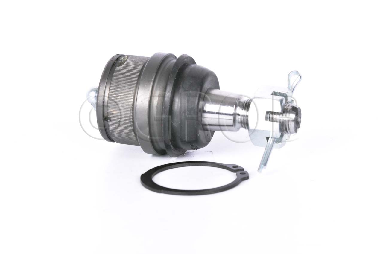 Rotula Inf. E-150 92-12
