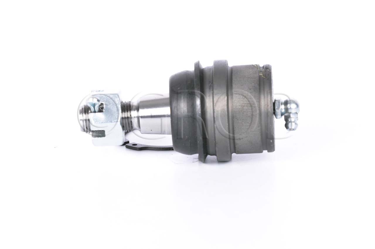 Rotula Inf. E-150 92-12