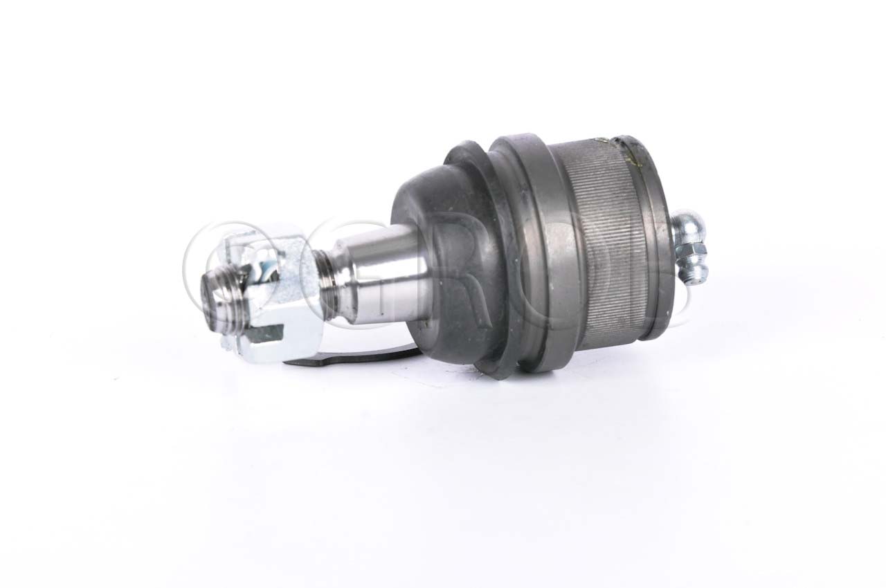 Rotula Inf. E-150 92-12