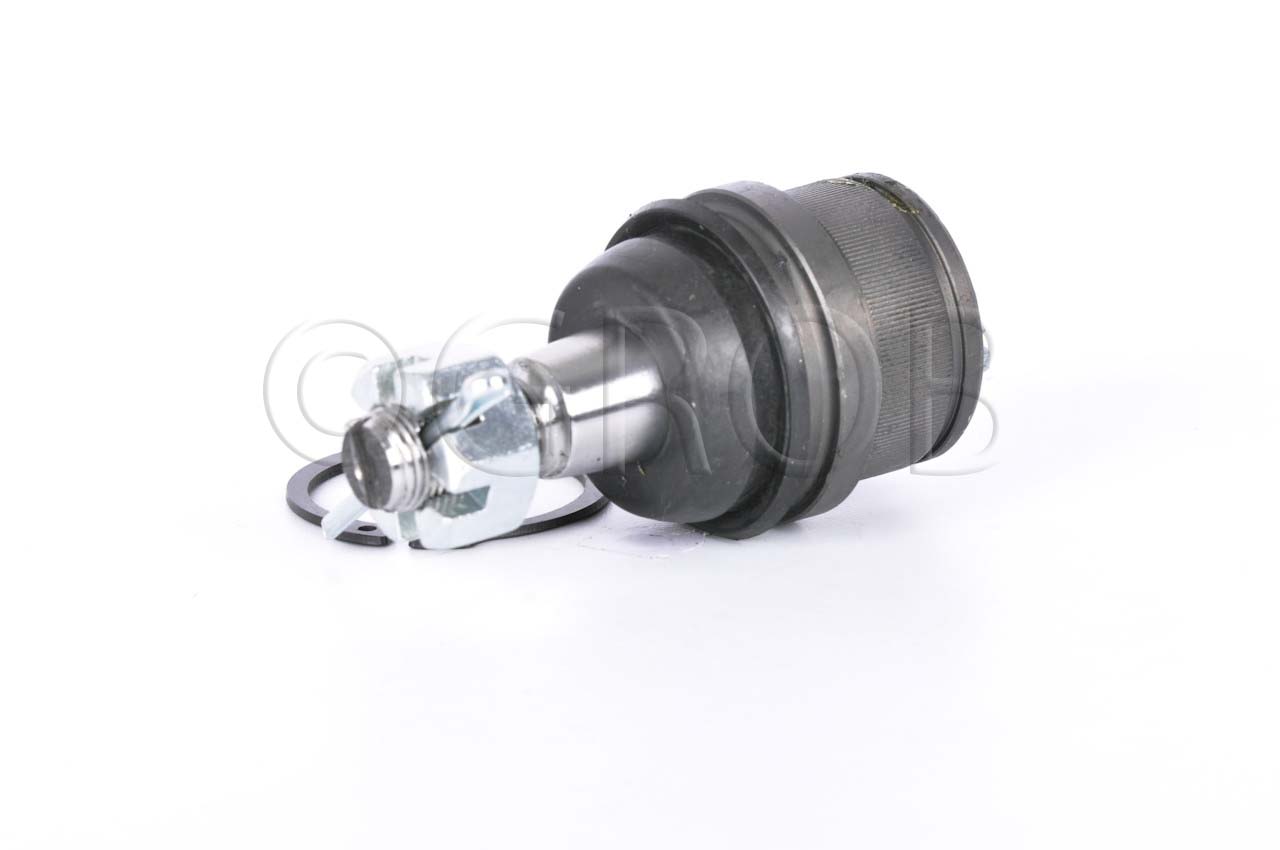 Rotula Inf. E-150 92-12