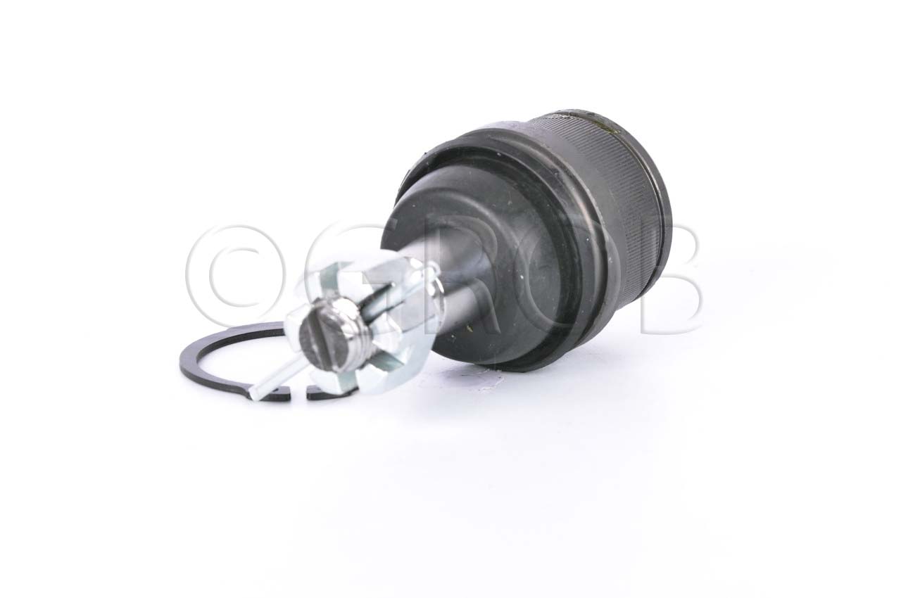 Rotula Inf. E-150 92-12