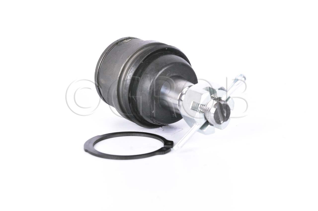 Rotula Inf. E-150 92-12