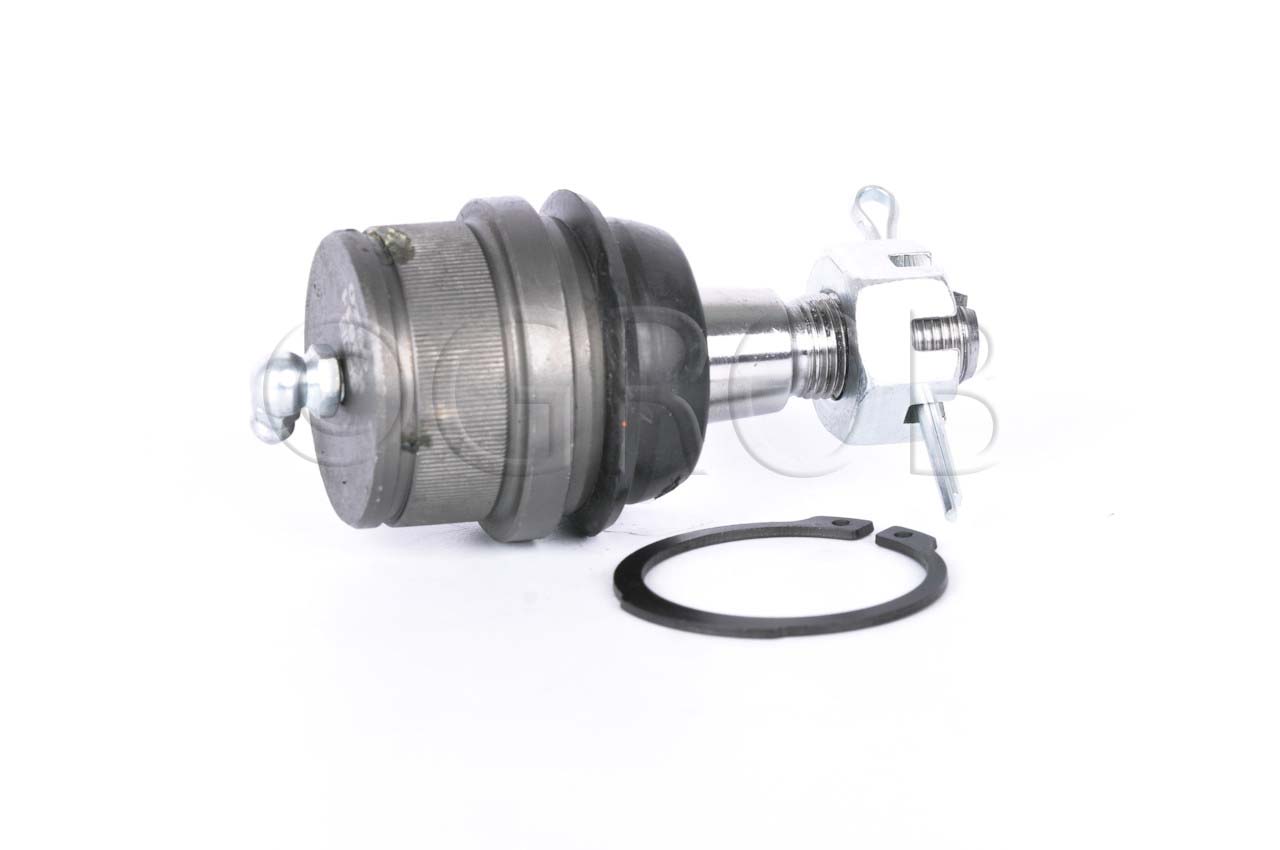 Rotula Inf. E-150 92-12