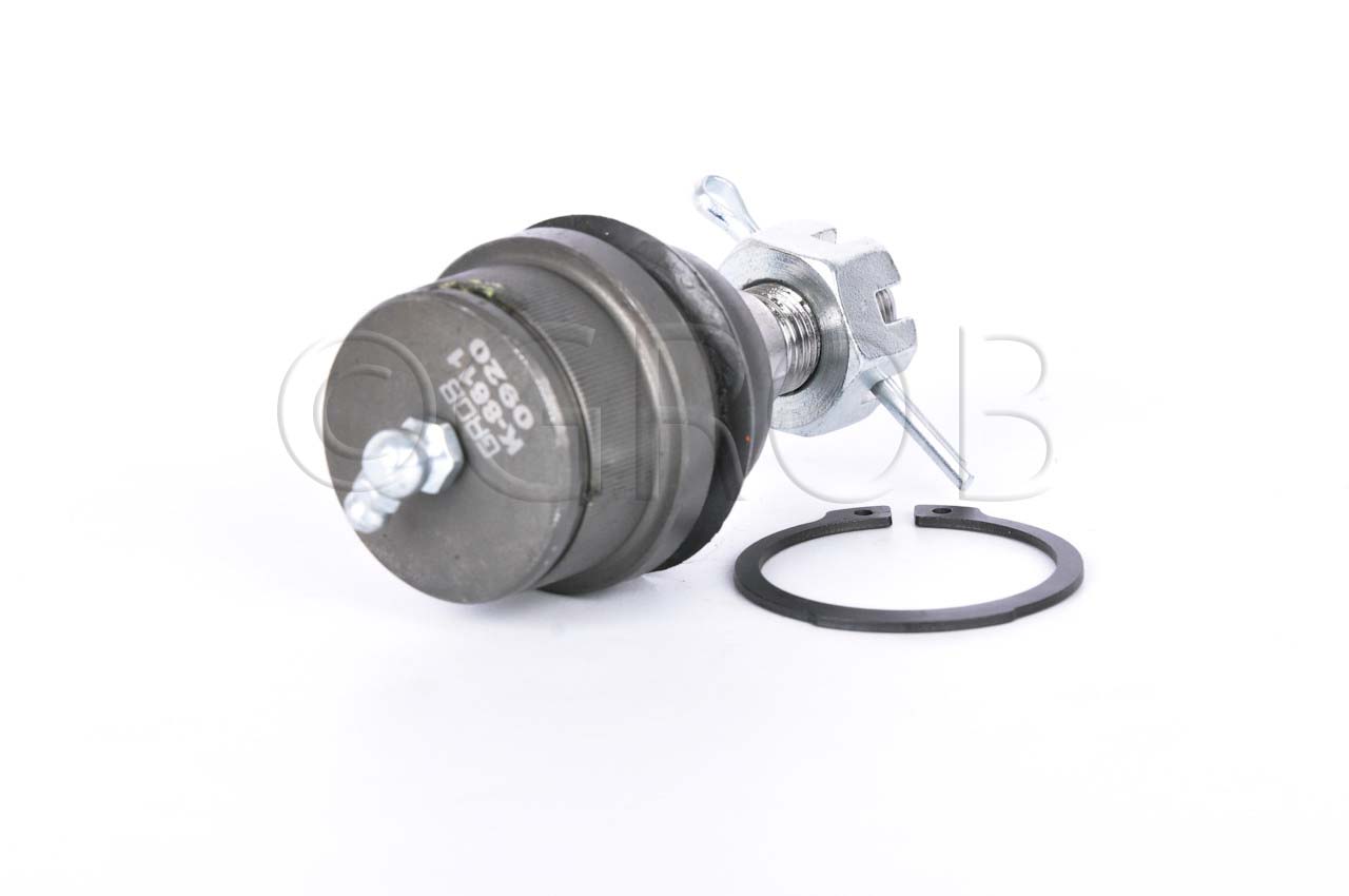 Rotula Inf. E-150 92-12