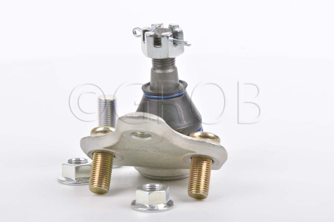 Rotula Inf. Celica 00-05 Corolla 96-08 Rav 4 01-06